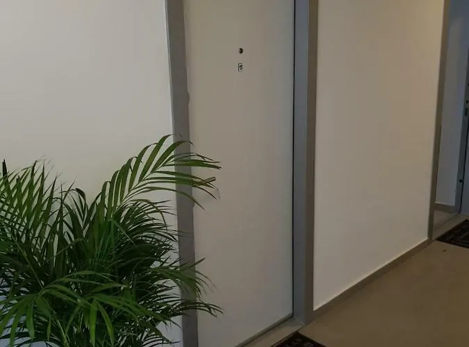 Dp Pipera Bucureşti